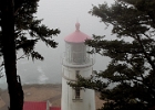 Heceta Head Light. Weather did not cooperate, as the calm wind allowed fog formation all along the coast.